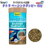 テトラベーシックグッピー60g