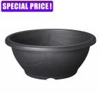 スドーメダカ鉢黒茶15号S-5615