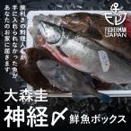 大森圭 神経〆鮮魚BOX 3kg / プロ仕様 / 長期熟成可能 / 人気店に信頼される活魚屋 / 期間限定販売