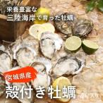 生で美味しい/宮城県産殻付き牡蠣/4キロ（約25個/冷凍/コロナ支援商品