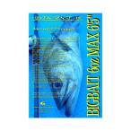 [15%OFF распродажа ] MPB-656-AR Monstar pra ga-G craft ( bait rod )