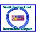【イオ】 スカジット シューティングヘッド Skagit 250 grain インターミディエイト blue