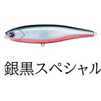 CHAPPY 100 チャッピー100 銀黒スペシャル