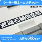 クーラー　タックルボックス　ドカット　シール　ステッカー　名入れ　クーラー用ネームステッカー　A4サイズ