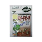 ささめ針(SASAME) PA450 スピードビーズ 夜光グリーン M