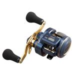 DAIWA（釣り） 21 ソルティガIC 100P-DH 釣り ベイトリール - 最安値