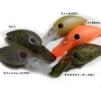 ラッキークラフト マイクロ クラピー DR/2H F 1091カラー (ブラックバスルアー) ゆうパケット可