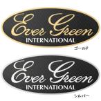  Evergreen Evergreen 3D стикер ( стикер ).. пачка возможно 