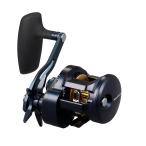 ダイワ 25 ソルティガ 300H (Daiwa ジギングリール 釣り 右)【送料無料】