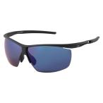 ダイワ トリアセテート偏光グラス DN-8025 グレーブルーミラー (偏光サングラス 偏光グラス 釣り メンズ)