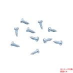 日本の部品屋 タッピングネジ (2x5〜10) ステンレス製 10本入り (ルアー自作) ゆうパケット可
