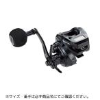  vi re year DG 100HG-PH/R tailwalk( tail walk ). покупка 