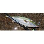  Daiwa Drager X 96MH большой рейс B. покупка 