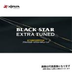 下田漁具 XESTA ブラックスターエクストラチューンド S66M-T 大型便A 爆買