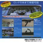 日吉屋 ロッドキャリー Popular Edition 爆買