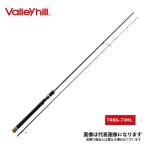 バレーヒル タイドレイカー アウトボーダー ベイカスタム TRBS-73ML TRBS-73ML 大型便B 爆買