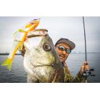 ジャッカル(JACKALL) ルアー ダウズスイマー220SF