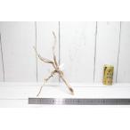 UWSsma тигр дерево S размер 211[ натуральный ветка коряга ]*ak вытащенный отделка завершено 