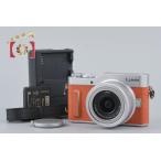PANASONIC LUMIX DC-GF10