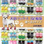 【レビューを書いて送料無料！】犬