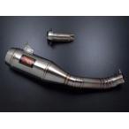 WERKES USA соревнование Works VFR1200F SC63 slip-on глушитель *