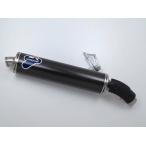 Ducati 1199paniga-reS оригинальный muffler глушитель карбоновый *