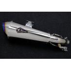 BMW S1000RR r*s gear Earl's механизм wai van настоящий спецификация slip-on глушитель 