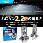 日本製LEDヘッドライト RIZINGアルファ Pro H7 6000K 12V用 【FIATにのみ取付け可能】