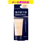  Kanebo носитель информации макияж основа R orange 30g почтовая доставка соответствует товар 