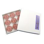 [ отметка 10 раз ]12-01 солнечный свет .. производство тест есть шт ..( консервы 9 жестяная банка входить ) FE93 | 2025 год подарок по случаю конца года подарок 