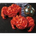 [ отметка 10 раз ]39-03 глициния . вода производство Hokkaido корень . производство Boyle цветок ...F221 | 2025 год подарок по случаю конца года подарок 