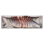 [ отметка 10 раз ]48-06.. salmon осень лосось . порез .1 хвост F180 | 2025 год подарок по случаю конца года подарок 