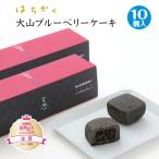 Yahoo! Yahoo!ショッピング(ヤフー ショッピング)はちかく 大山ブルーベリーケーキ 10個入 FN0B8