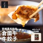 【期間限定ポイント5倍】倉薗牛牛餃子 1ケース40パックセット