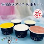 ���_�A�C�X�H�[ �q�꒼���A�C�X10�Z�b�g ���Ȃ���u�����h