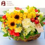 花 フラワーアレンジ 誕生日 ギフト ひまわりバスケット 夏 ひまわり フラワーギフト 生花 お花 プレゼント 生花アレンジメント 開店祝い 翌日配達 父の日 FKAA