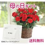 母の日 プレゼント KINS 花 カーネーション かご付きカーネーションとKINSフェイスマスク 花とコスメ ギフト 鉢植え スキンケア 60代 70代 2025 FKHH