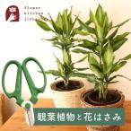 商品画像3