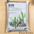 evo- много мясо кактус . изначальный .... земля 2L декоративное растение . комплект покупка бесплатная доставка FKTS
