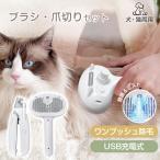  кошка щетка кусачки для ногтей домашнее животное собака кошка кусачки для ногтей собака щетка расческа пар домашнее животное щетка длина шерсть бесполезность шерсть брать . пар кошка щетка шерсть груминг починка простой собака. кусачки для ногтей свет 