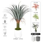 母の日 花 プレゼント 鉢植え 2025 観葉植物 アレンジメント フェイクグリーン 鉢カバー セット 植木鉢 おしゃれ 鉢 プランター ガーデニング プラスチック