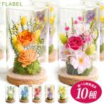 敬老の日 花-商品画像