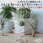 ぐるぐるスツール エアプランツ専用ホルダー（エアプランツ付）