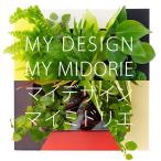 自分で作る 壁掛け 植物 マイ ミドリエ 本物 観葉植物 インテリア 開店祝 新築祝 祝い