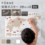 知育ポスター 3枚セット B(日本地図/世界地図/ローマ字) FORNE フォルネ