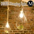 BOTANIC HANGING LIGHT M ボタニック ハンギングライト APEー021WH/スワン電器