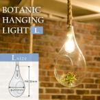 BOTANIC HANGING LIGHT L ボタニック ハンギングライト APEー020WH/スワン電器