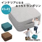 Room Hoppon ルームホッピン トランポリン カバー付き 室内 エクササイズ 運動