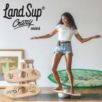 予約 バランスボード LandSup Crazy mini ランドサップ クレイジーミニ 全2種(Logo/Bunny)