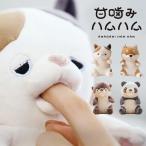 10／2「がっちりマンデー」紹介／ユカイ工学　甘噛みハムハム　ゆず／ミケネコ　コタロウ／シバイヌ　やみつき体感ロボット／ニシカワ